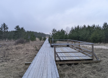 Северо-Запад, Кургальский полуостров