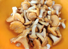 Карелия, Сплав по реке Суна на байдарках