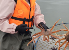 Камчатка, Камчатский вояж Лайт: шум океана и шёпот вулканов (комфорт-тур)