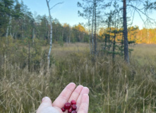 Северо-Запад, Однодневный поход вдоль Кавголовского озера с посещением органного концерта в Токсово