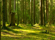 Селигер, Дикий Селигерский край - водный поход