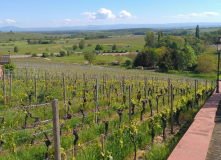 Франция, Винная дорога Эльзаса (разведка)