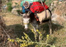 Узбекистан, Лето, весна, зима и снова лето: пеший поход по весенним горам Западного Тянь-Шаня