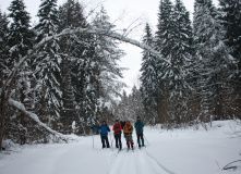 Подмосковье, Комфорт-тур на лыжах «Изумруд Бухары» (Владимирская область)