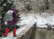 Подмосковье, Поход к карьеру Сима и хвойным лесам