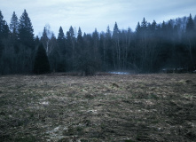 Подмосковье, Пеший поход "В глубь веков"