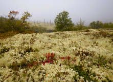Хибины, Хибины. Доступная красота северных гор