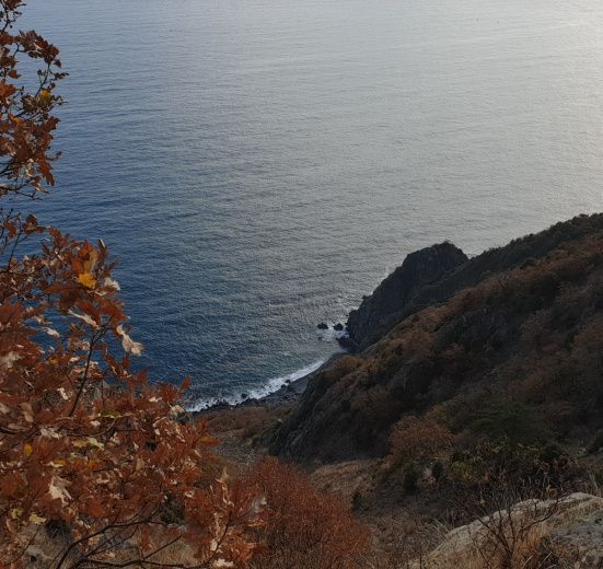 Алустон комфорт-тур