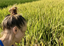 Китай, Живописная палитра Китая: из глубинки провинции к золотым пляжам (разведка)