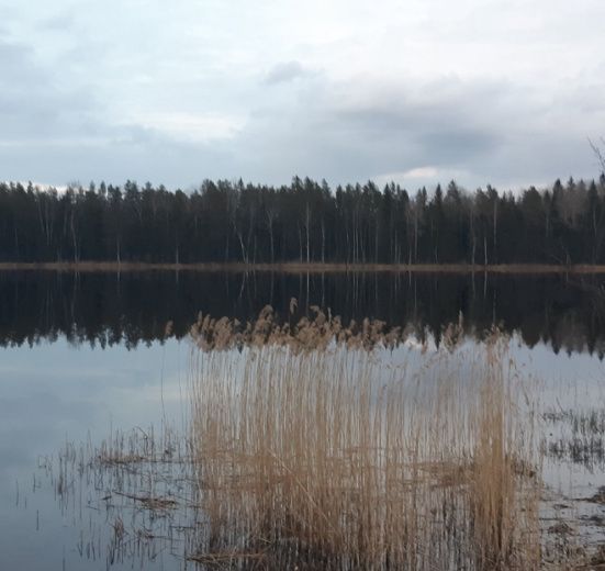 Северо-Запад, Тропа Александра Невского (поход в Лужскую Швейцарию)