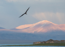 Монголия, Автотур «Неизведанная Монголия»