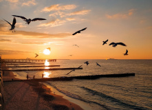 Калининград, Активное мультипутешествие на Балтике: море, поход и история