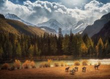 Алтай, Конное путешествие к подножию пяти священных гор (разведка)