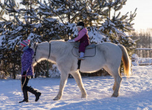 Северо-Запад, Всей семьёй в Новый Год!