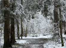 Подмосковье, Однодневный пеший поход в усадьбу Мураново