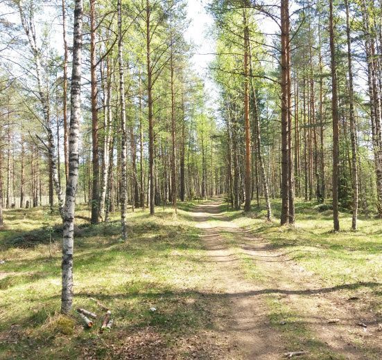 Северо-Запад, Велопрогулка "В поисках лесного озера"
