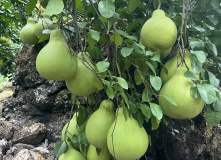 Китай, Живописная палитра Китая: из глубинки провинции к золотым пляжам (разведка)