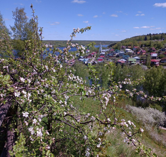 Подмосковье, Плёсские выходные: семейный комфорт-тур