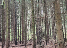 Подмосковье, Однодневный семейный поход " Юные Спецагенты. Школа шпионажа"