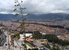 Центральная и Южная Америка, От вулканов до океана. Большой тур по Эквадору и Галапагосам