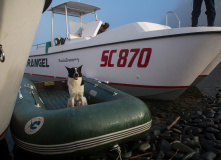 Дальний Восток, Шантарские острова: в поисках мечты (разведка)