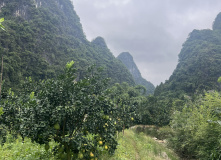 Китай, Живописная палитра Китая: из глубинки провинции к золотым пляжам (разведка)