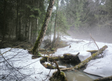 Подмосковье, Пеший поход "В глубь веков"