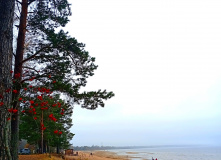 Северо-Запад, Ладожские экотропы