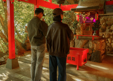 Япония, К пальмам и горячим пескам (разведка)