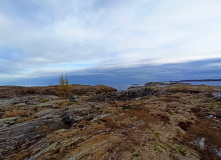 Северо-Запад, Стихия воды | SUP camp на Ладожских шхерах (с трансфером)