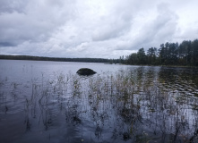 Карельский перешеек, В поисках исчезнувшей Леовиллы с детьми