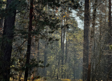 Подмосковье, English club в Мещере с ночевкой в приюте