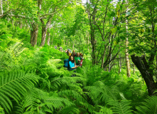 Камчатка, Камчатские каникулы: семейный поход в долину Налычево