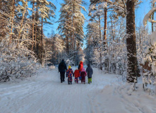 Северо-Запад, Всей семьёй в Новый Год!