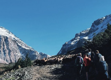 Киргизия, Лошадью ходи: с пляжа на ледник с комфортом