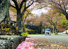 Япония, Японская кругосветка