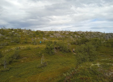 Карелия, У самого Полярного Круга: в нацпарк Паанаярви с детьми