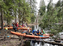 Подмосковье, Сплав по реке Поля «Cквозь лес на байдарках»