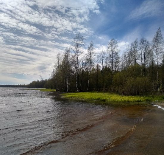 На поиски европейской жемчужницы: велопрогулка