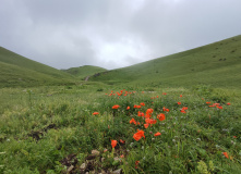 Армения, Заповедные места Дилижана: пеший поход по Армении