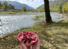 Грузия, Лучшие реки Грузии: родео-тур на байдарках