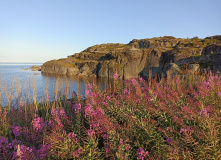 Карелия, Архипелаг Кузова и Кемские шхеры. По Белому морю на морских каяках