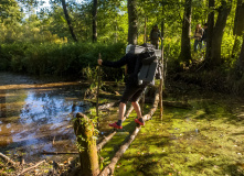 Подмосковье, Шёпот мещёрских лесов да гладь озёр