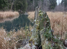 Подмосковье, Пеший поход «отМорозки»