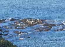 Сахалин, Сахалино-Камчатский вояж: по следам Крузенштерна (активный комфорт-тур)