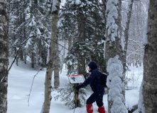 Карелия, По следам на снегу: Северная Карелия на снегоходах и лыжах с детьми