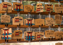 Япония, К пальмам и горячим пескам (разведка)