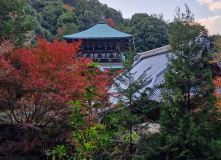 Япония, К пальмам и горячим пескам (разведка)