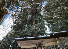 Япония, Японские Альпы. Горнолыжный + культурный тур (разведка)