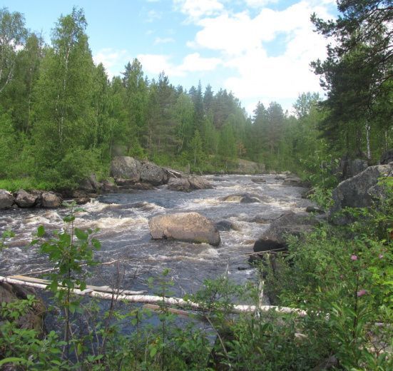 Сплав по рекам Вама и Водла